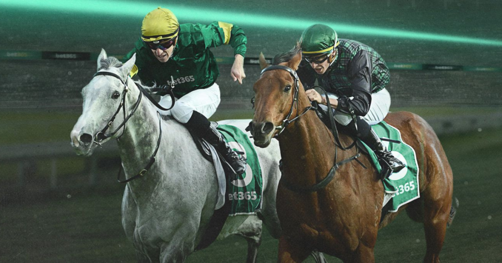 Bet365 horse racing image