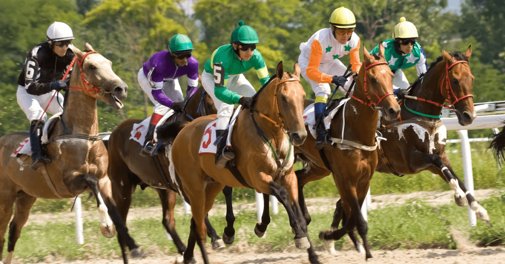 Horse racing